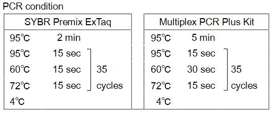 PCR Condition