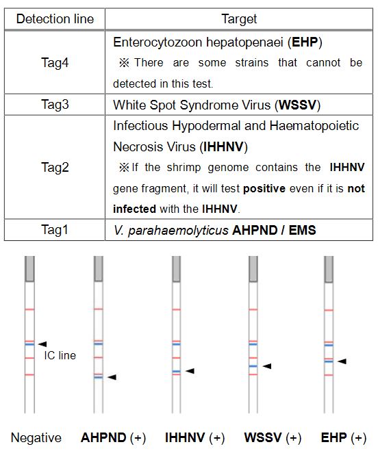 Preparation of DNA solutio